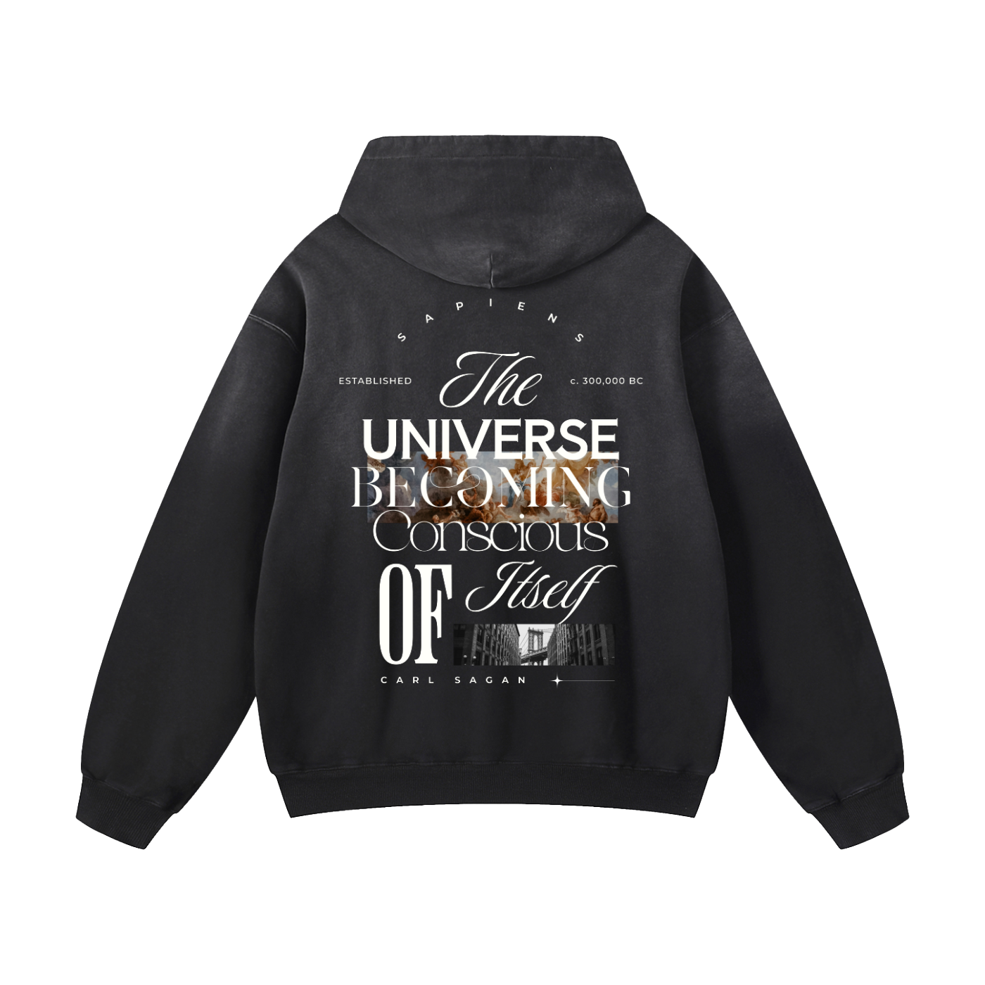 universe,sagan,renaissance,carl,consciousness,conscious,brooklyn